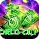 2015 world cup Deluxe Pro v5.5.3