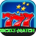all cricket match Pro v1.0.7
