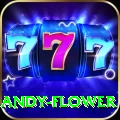andy flower Elite v4.8.1