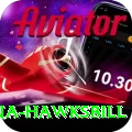 antigua hawksbill Games (Casino & Earning) Plus v5.2.0