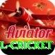 bbl cricket Games (Casino & Earning) Elite v3.0.4