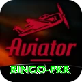Bingo PKR Apps (Tools & Injectors) Premium v3.0.6