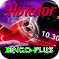 bingo Deluxe Pro v3.1.5