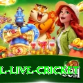 bpl live cricket Apps (Tools & Injectors) Turbo v3.9.2