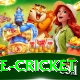 bpl live cricket Apps (Tools & Injectors) Turbo v3.9.2