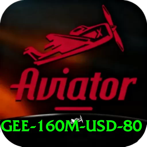 bungee 160m usd 80 Apps (Tools & Injectors) Premium v1.7.5 - 2