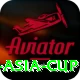 cricbuzz asia cup Pro1 v3.2.5