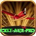 cricket aus Money Mega v5.7.3