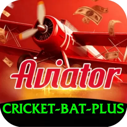 cricket bat - King Earning App - 2
