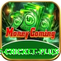 god of cricket Master - Daily Bonus