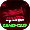 grass carp Premium v4.6.2