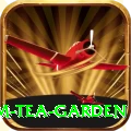 hile ilam tea garden Games (Casino & Earning) Premium v2.9.3