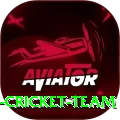 hong kong cricket team Master Pro v1.1.4