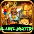 india australia live match Premium Plus v3.6.4