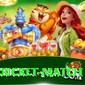 india cricket match Turbo Pro v1.2.7