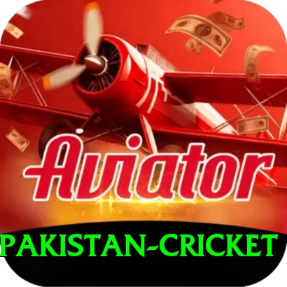 india pakistan cricket Premium Edition v3.8.9 - 2