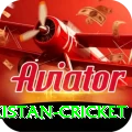 india pakistan cricket Premium Edition v3.8.9