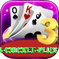 india pakistan cricket Earn Gold v1.1.6