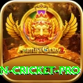 india pakistan cricket Pro v5.7.8