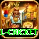 international cricket App