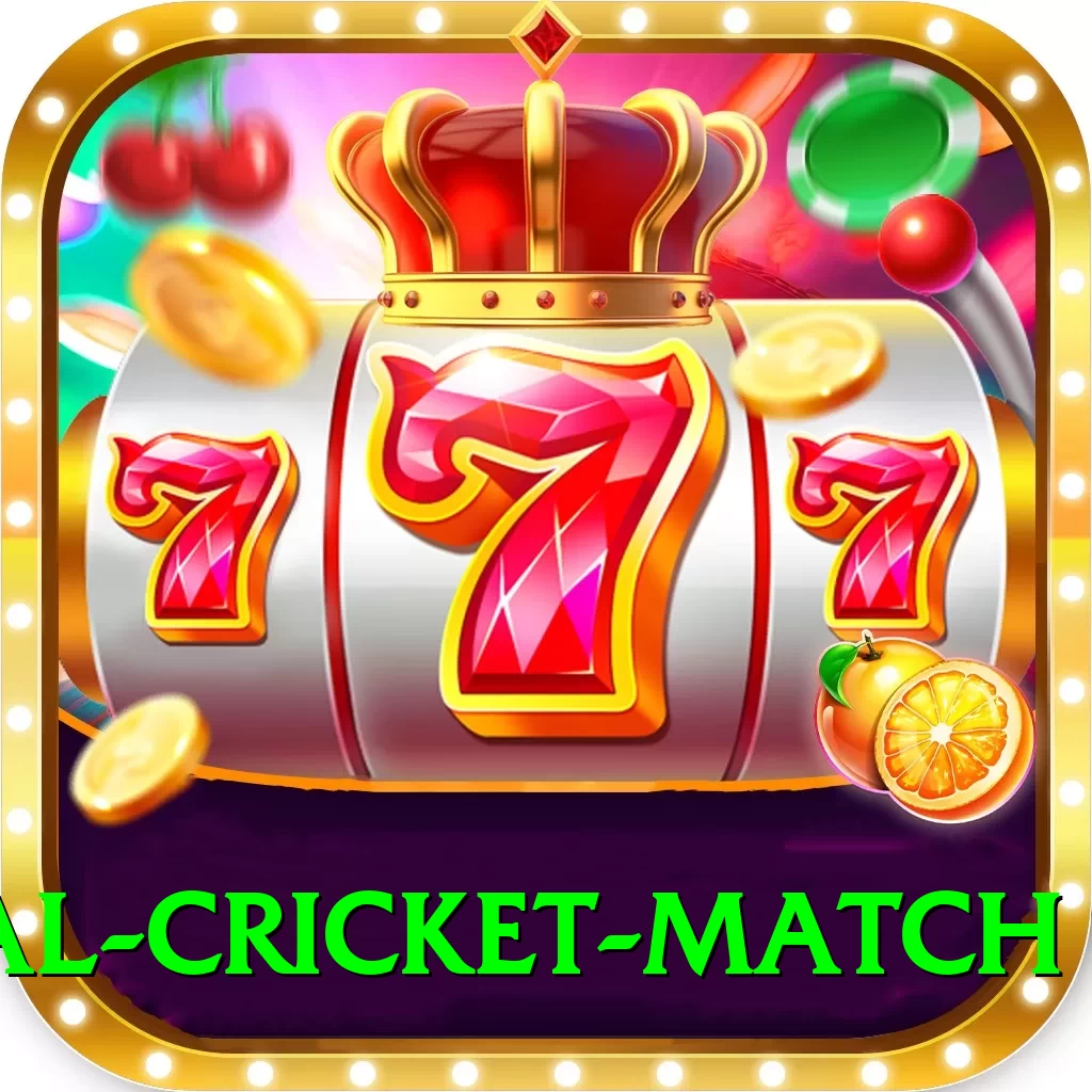 international cricket match VIP Pro v3.7.2 - 2