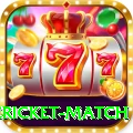 international cricket match VIP Pro v3.7.2