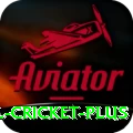 international cricket Gaming Mega v2.6.1
