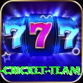 ireland cricket team Pro v1.5.6