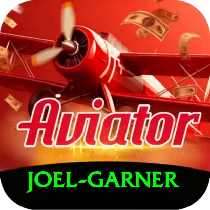 joel garner VIP Edition v4.0.2 - 2