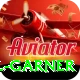 joel garner VIP Edition v4.0.2