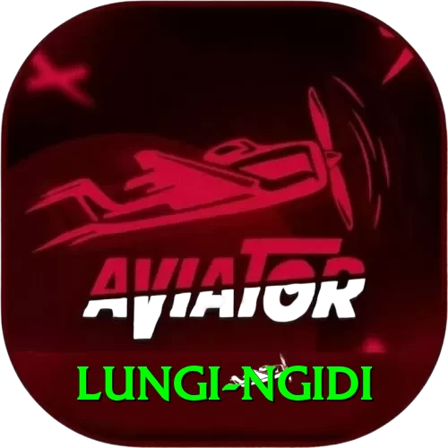 lungi ngidi Pro Edition v1.3.8 - 2