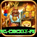 make money betting cricket pk Turbo v3.7.2
