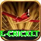 mobile cricket Deluxe v1.9.0