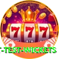 most test wickets Ultimate Pro v2.2.0