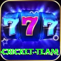mumbai cricket team VIP v4.3.3