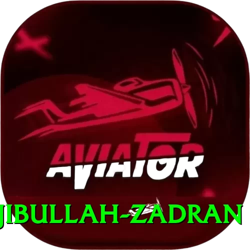 najibullah zadran Plus Pro v2.5.4 - 2