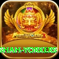 naseem shah yorkers Pro Edition v3.7.8