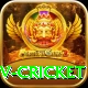 ndtv cricket Gold Edition v5.7.1