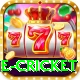 online cricket VIP