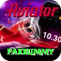pakrummy Apps (Tools & Injectors) Pro v5.0.0