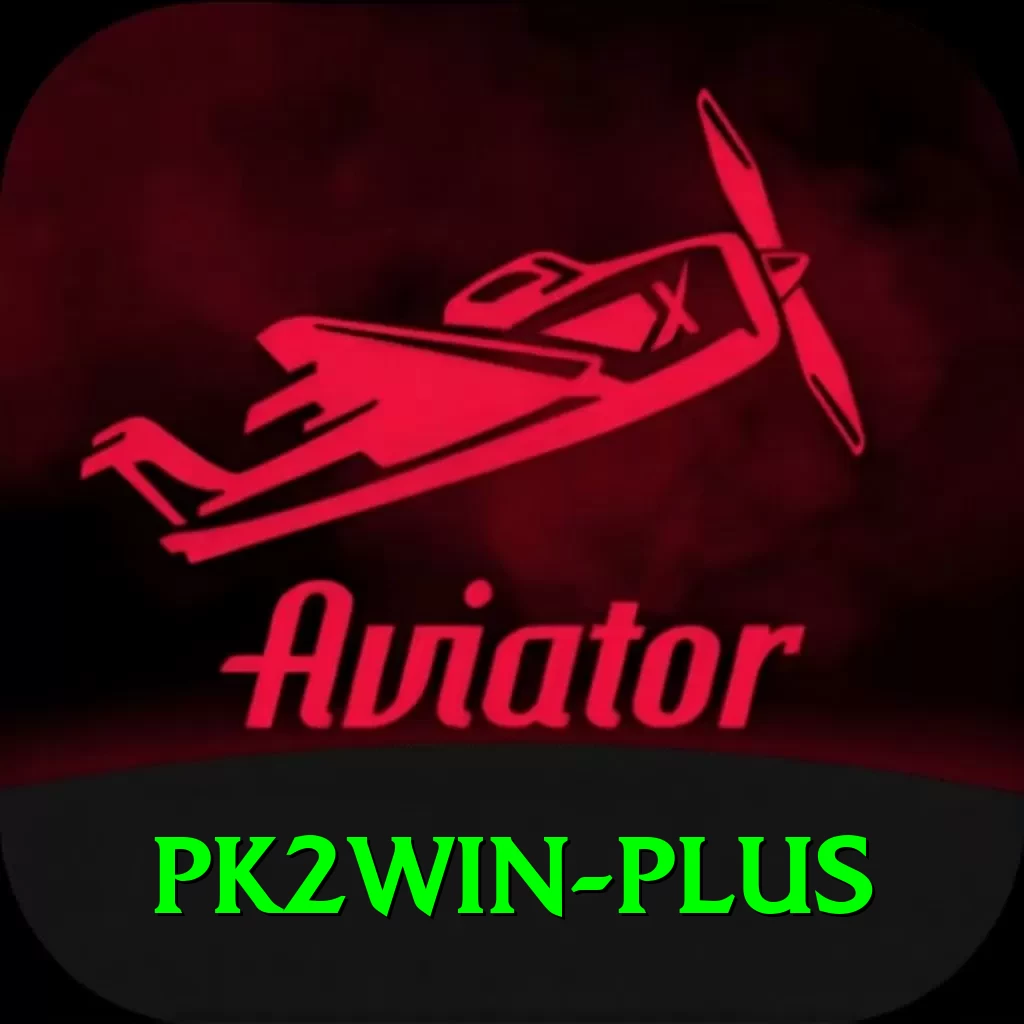 pk2win VIP Pro v1.4.0 - 2