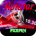 pkspin Master v2.8.6