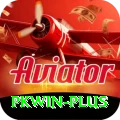 pkwin Deluxe Edition v1.6.1