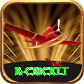 r cricket Plus Edition v1.4.1