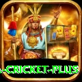 sa cricket Official v4.0.9
