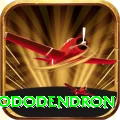 simbhanjyang rhododendron Games (Casino & Earning) Turbo v4.0.7