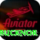 steve bucknor App