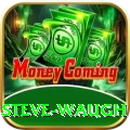 steve waugh Premium Edition v4.2.3