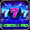 test cricket Earn VIP v1.3.1