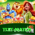 test match Elite v2.3.0